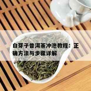 白芽子普洱茶冲泡教程：正确方法与步骤详解