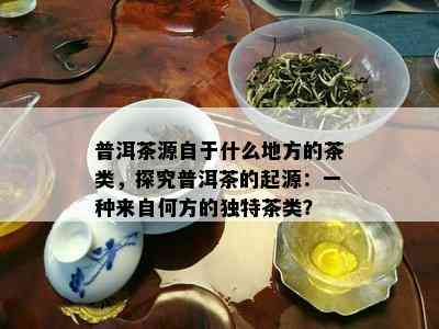 普洱茶源自于什么地方的茶类，探究普洱茶的起源：一种来自何方的独特茶类？