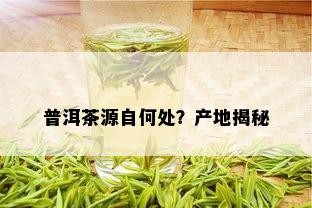 普洱茶源自何处？产地揭秘