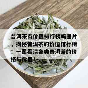 普洱茶有价值排行榜吗图片，揭秘普洱茶的价值排行榜：一图看清各类普洱茶的价格与价值！