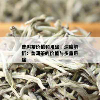 普洱茶价值和用途，深度解析：普洱茶的价值与多重用途