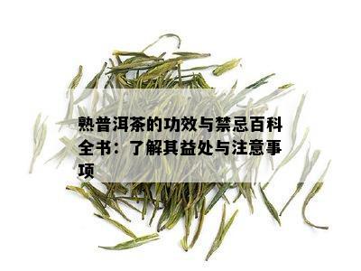 熟普洱茶的功效与禁忌百科全书：了解其益处与注意事项