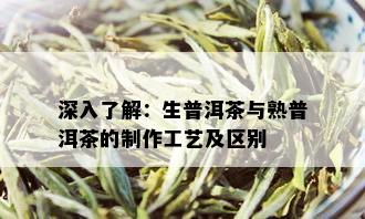 深入了解：生普洱茶与熟普洱茶的制作工艺及区别