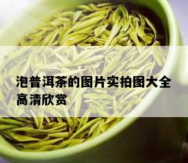 泡普洱茶的图片实拍图大全高清欣赏