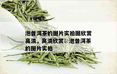 泡普洱茶的图片实拍图欣赏高清，高清欣赏：泡普洱茶的图片实拍