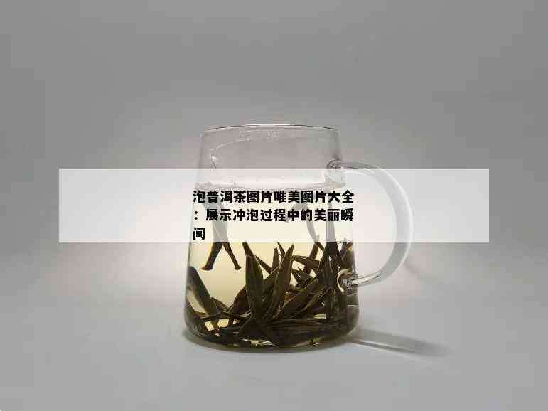 泡普洱茶图片唯美图片大全：展示冲泡过程中的美丽瞬间