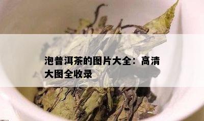 泡普洱茶的图片大全：高清大图全收录