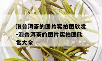 泡普洱茶的图片实拍图欣赏-泡普洱茶的图片实拍图欣赏大全