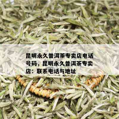 昆明永久普洱茶专卖店电话号码，昆明永久普洱茶专卖店：联系电话与地址