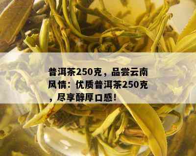 普洱茶250克，品尝云南风情：优质普洱茶250克，尽享醇厚口感！