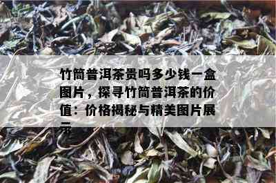 竹筒普洱茶贵吗多少钱一盒图片，探寻竹筒普洱茶的价值：价格揭秘与精美图片展示