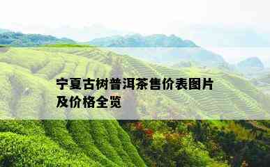 宁夏古树普洱茶售价表图片及价格全览