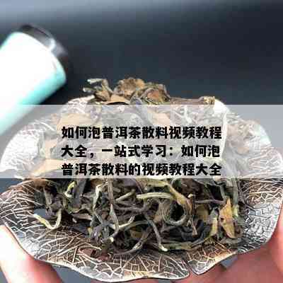 如何泡普洱茶散料视频教程大全，一站式学习：如何泡普洱茶散料的视频教程大全