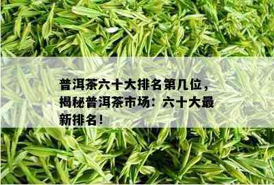 普洱茶六十大排名第几位，揭秘普洱茶市场：六十大最新排名！