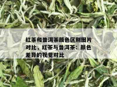 红茶和普洱茶颜色区别图片对比，红茶与普洱茶：颜色差异的视觉对比