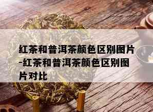 红茶和普洱茶颜色区别图片-红茶和普洱茶颜色区别图片对比