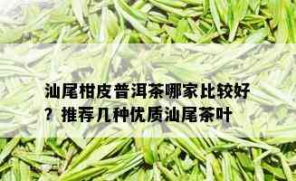 汕尾柑皮普洱茶哪家比较好？推荐几种优质汕尾茶叶