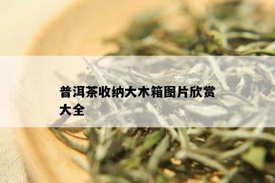 普洱茶收纳大木箱图片欣赏大全