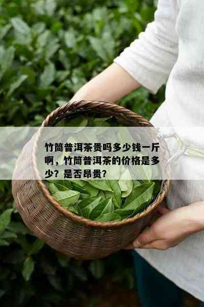 竹筒普洱茶贵吗多少钱一斤啊，竹筒普洱茶的价格是多少？是否昂贵？