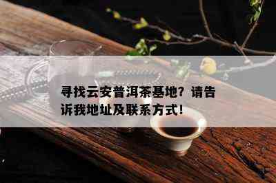 寻找云安普洱茶基地？请告诉我地址及联系方式！