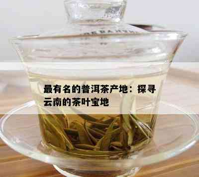 最有名的普洱茶产地：探寻云南的茶叶宝地