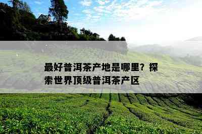 更好普洱茶产地是哪里？探索世界顶级普洱茶产区