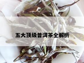 五大顶级普洱茶全解析