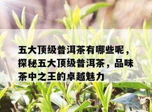 五大顶级普洱茶有哪些呢，探秘五大顶级普洱茶，品味茶中之王的卓越魅力