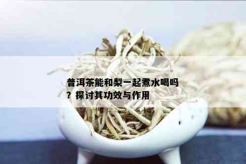 普洱茶能和梨一起煮水喝吗？探讨其功效与作用