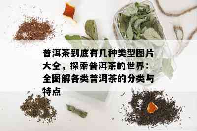 普洱茶到底有几种类型图片大全，探索普洱茶的世界：全图解各类普洱茶的分类与特点