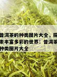 普洱茶的种类图片大全，探索丰富多彩的世界：普洱茶种类图片大全