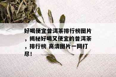 好喝便宜普洱茶排行榜图片，揭秘好喝又便宜的普洱茶，排行榜 高清图片一网打尽！