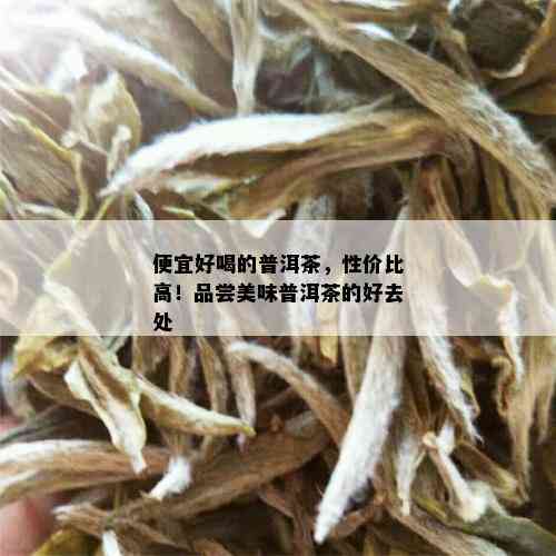 便宜好喝的普洱茶，性价比高！品尝美味普洱茶的好去处