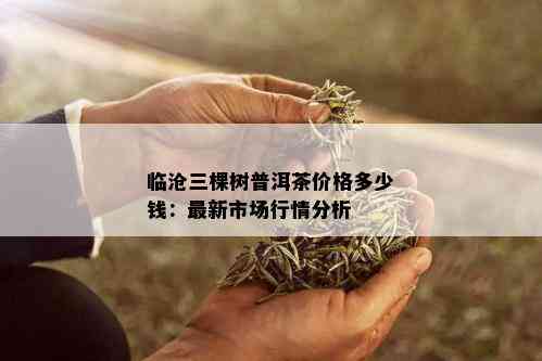 临沧三棵树普洱茶价格多少钱：最新市场行情分析