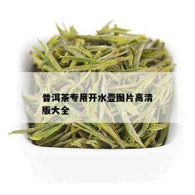 普洱茶专用开水壶图片高清版大全