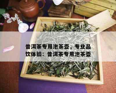 普洱茶专用泡茶壶，专业品饮体验：普洱茶专用泡茶壶