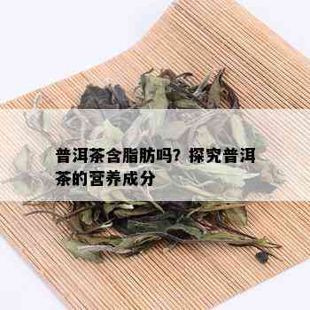 普洱茶含脂肪吗？探究普洱茶的营养成分