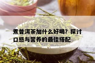 煮普洱茶加什么好喝？探讨口感与营养的更佳搭配