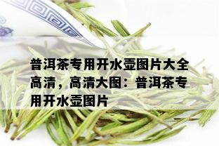 普洱茶专用开水壶图片大全高清，高清大图：普洱茶专用开水壶图片