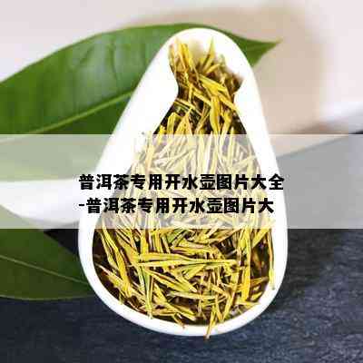 普洱茶专用开水壶图片大全-普洱茶专用开水壶图片大