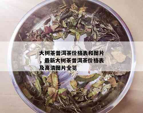 大树茶普洱茶价格表和图片，最新大树茶普洱茶价格表及高清图片全览