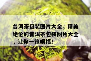 普洱茶包装图片大全，精美绝伦的普洱茶包装图片大全，让你一饱眼福！