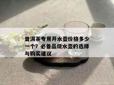 普洱茶专用开水壶价格多少一个？必备品烧水壶的选择与购买建议