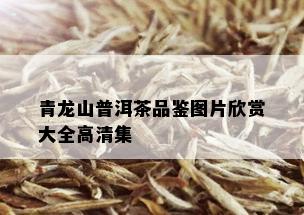 青龙山普洱茶品鉴图片欣赏大全高清集