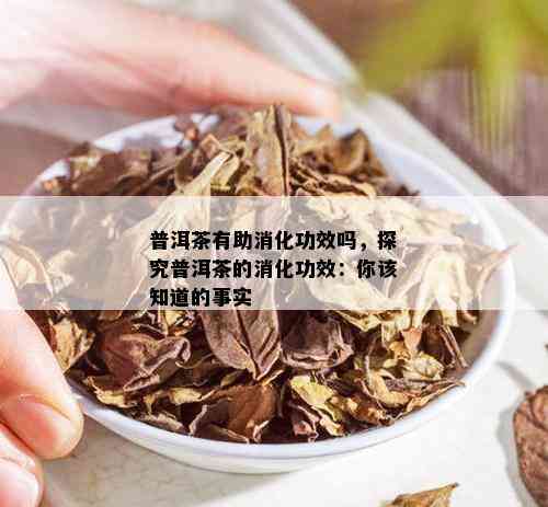 普洱茶有助消化功效吗，探究普洱茶的消化功效：你该知道的事实