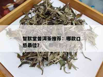 智默堂普洱茶推荐：哪款口感更佳？