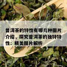 普洱茶的特性有哪几种图片介绍，探究普洱茶的独特特性：精美图片解析