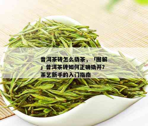 普洱茶砖怎么撬茶，「图解」普洱茶砖如何正确撬开？茶艺新手的入门指南