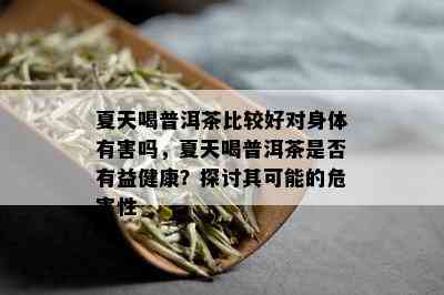 夏天喝普洱茶比较好对身体有害吗，夏天喝普洱茶是否有益健康？探讨其可能的危害性