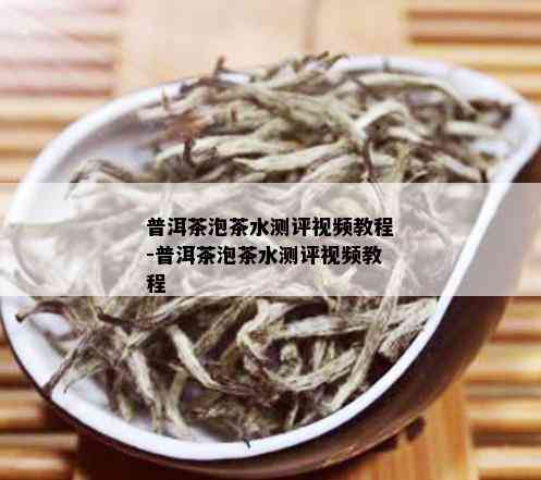 普洱茶泡茶水测评视频教程-普洱茶泡茶水测评视频教程